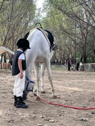 -熊孩子韩国儿童摄影(三义街店)