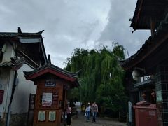 -大妈水饺(文华巷店)
