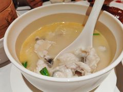 酸萝卜鲜嫩鱼-四季民福烤鸭店(王府井东安门店)