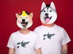-bobo高端证件照工作室(三元桥店)