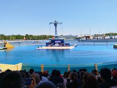 -秦皇岛乐岛海洋王国