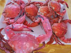 -张会海鲜饭店(东戴河店)