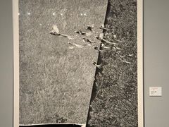 -江苏省美术馆(长江路新馆)