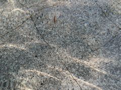 -汤山温泉房车营地 茶温泉