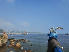 -大连老虎滩海洋公园