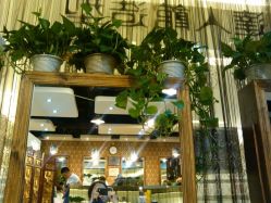 随处可见的绿植-DRG达人馆造型