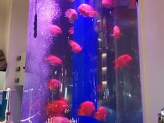 -金汤宴餐厅·粤菜(德云社店)