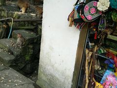 -罗田天堂寨风景区