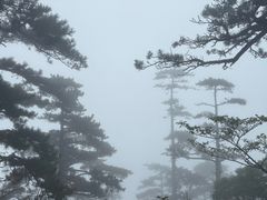 -明堂山风景区