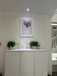 -SILKTONE诗丽堂美容