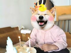 -味多美蛋糕(双安店)