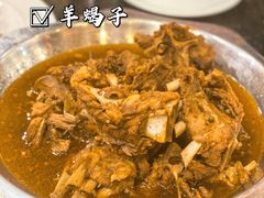 羊羯子锅底-蝎王府羊蝎子(西稍门店)