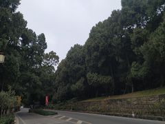 -七曲山风景区