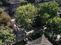 -东莞市可园博物馆