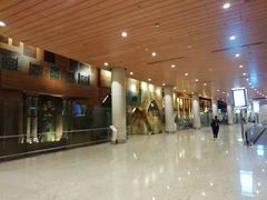 -贾特拉帕蒂·希瓦吉国际机场