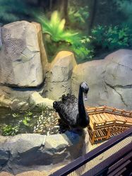 -酷嗒动物文化乐园(cutezoo西溪乐天城店)