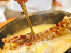 -鲜入围煮花胶鸡海鲜火锅