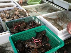 -拉威海鲜市场