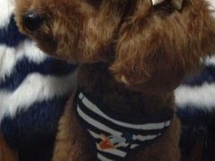 爱侣宠物医院(灵石路总院)-爱侣宠医·鹦鹉专科·小型哺乳类·异宠专科(灵石路店)