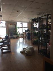 点击看大图 -英刺青 纹身 洗纹身