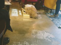 -咖法森林·咖啡  酒吧(天河店)