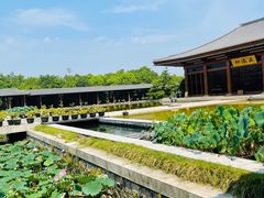 -法华学问寺-停车场