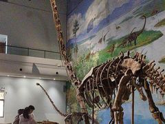 -自贡恐龙博物馆