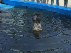 -北戴河圣蓝海洋公园