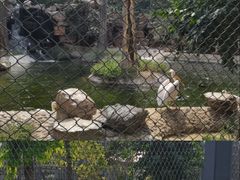 -石家庄市动物园