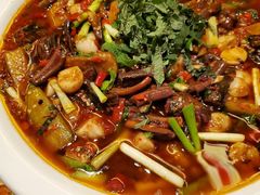 -院8里·小聚园老川菜(九眼桥店)