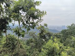 -岳麓山风景名胜区