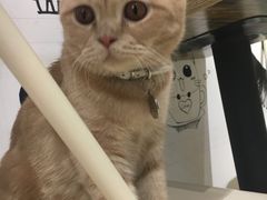 -小时光咖啡馆(开森度假森林店)