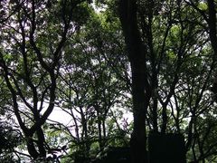 -大雁山风景区