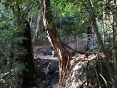 -七仙岭温泉国家森林公园