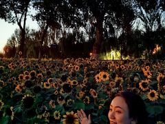 -长白岛森林公园