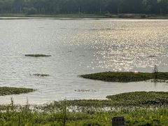 -风云岭森林公园