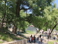 -阳台山自然风景区