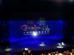 -cavalia·舞马