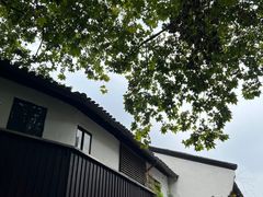 -南宋御街