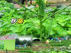-天河儿童公园