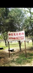 -上美四季动物农场
