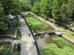 -白水寺森林公园