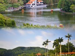 -深圳仙湖植物园