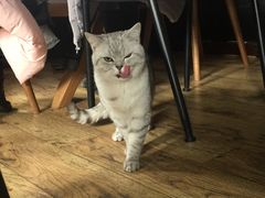 -不舍昼夜咖啡馆