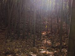 -穹窿山景区