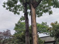 -洛阳周公庙博物馆