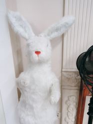 -BabyA 专业婴童摄影(古北时尚广场店)