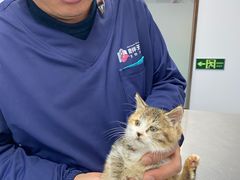 -良伴无忧宠物医院(泰欣嘉园店)