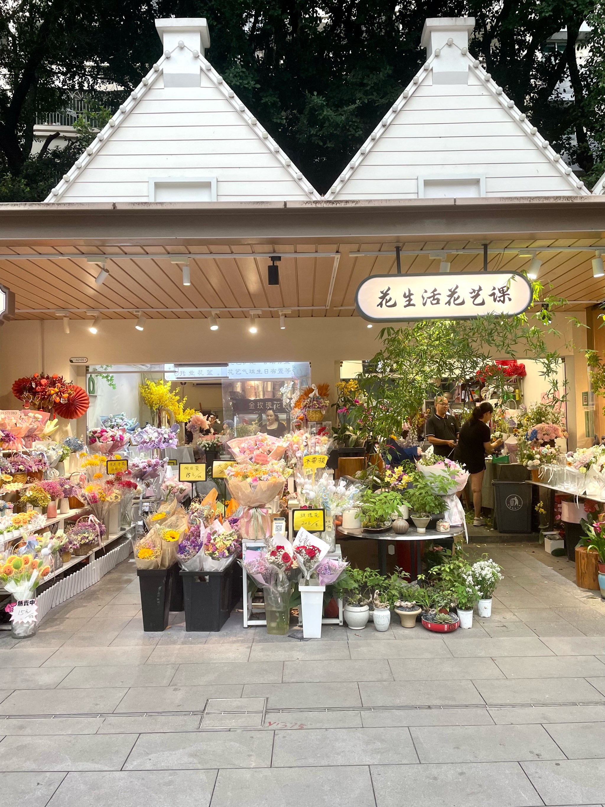 荷兰花卉小镇!是深圳人的后花园!