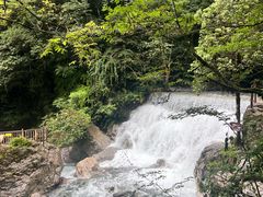 -西岭雪山大飞水景区